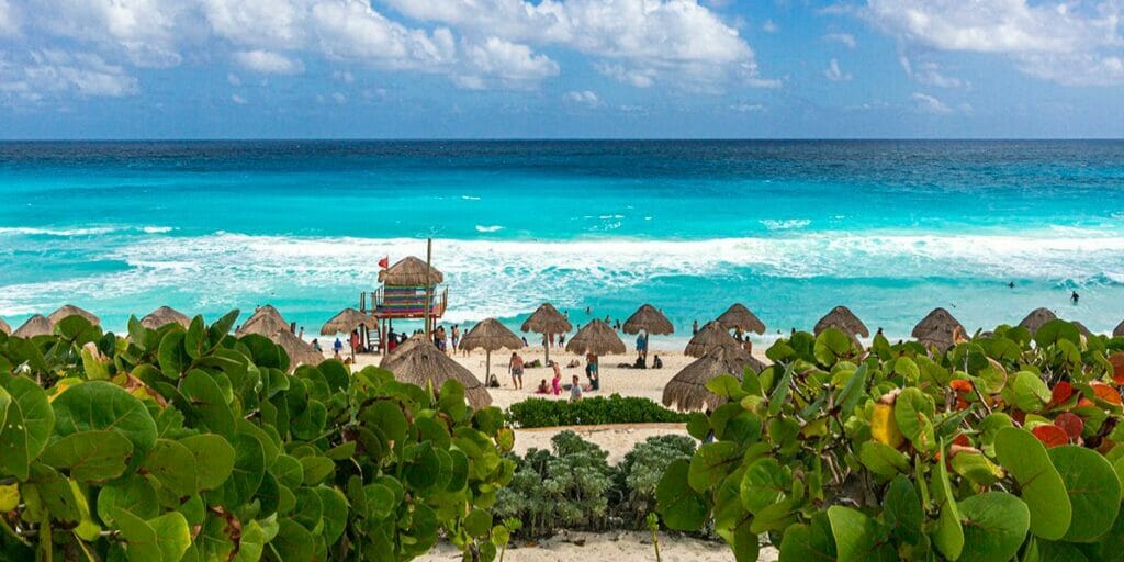 Cancun playa delfines lined with plants and blue sea