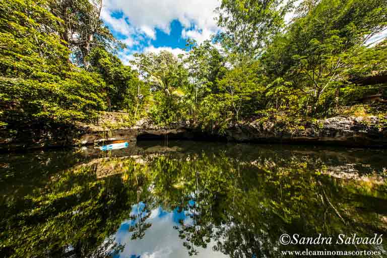 Cenote Las Mojarras - El Camino Mas Corto 