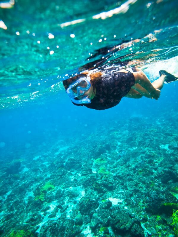 snorkeling tour