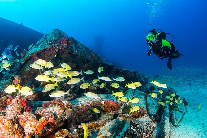 PERSON DIVING ON WRECK