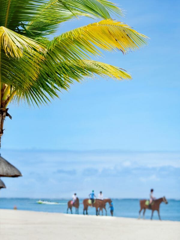 horseback riding from cancun
