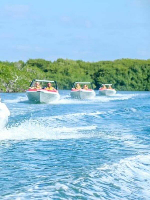 JUNGLE TOUR ADVENTURE