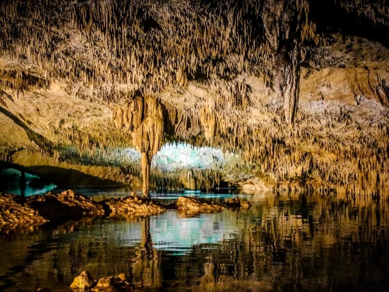 Cancun Cenotes Cave - Gocity Cancun Pass