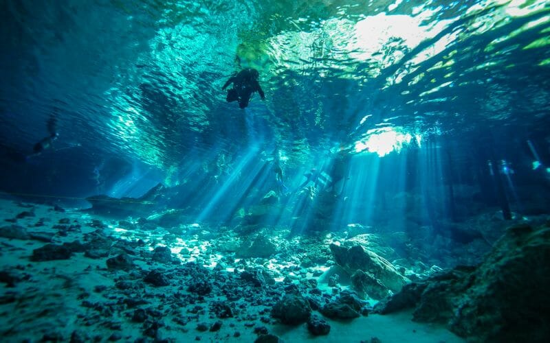 Diver in a cenote