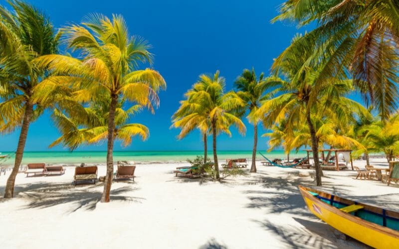 HOlbox beach -palm trees