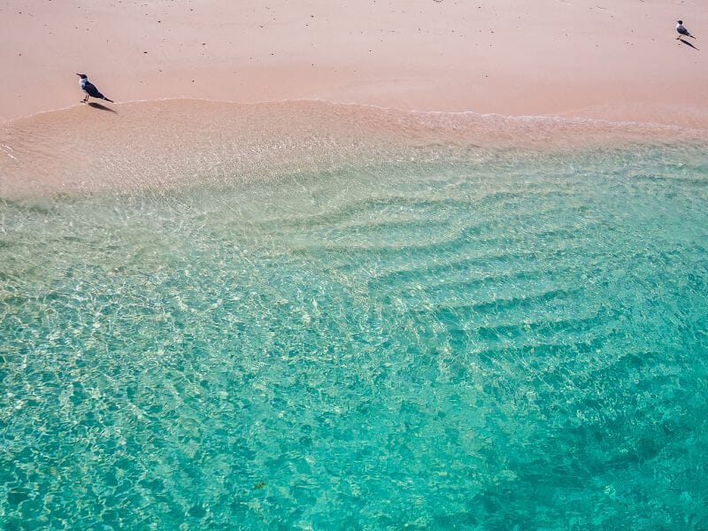 Pink Beach Bahamas