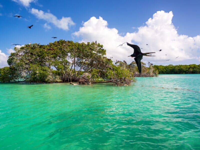 Sian Ka'an Biosphere Reserve
