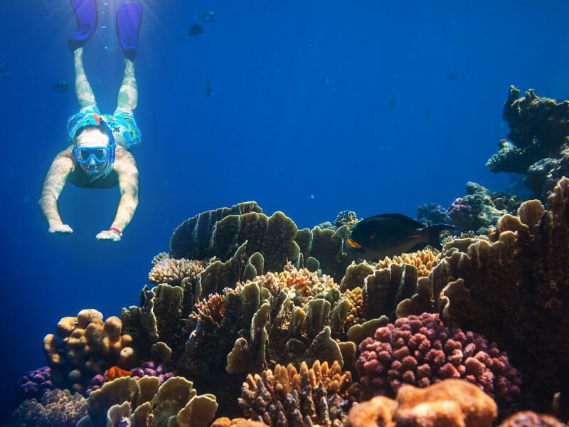 Snorkeling in Cancun