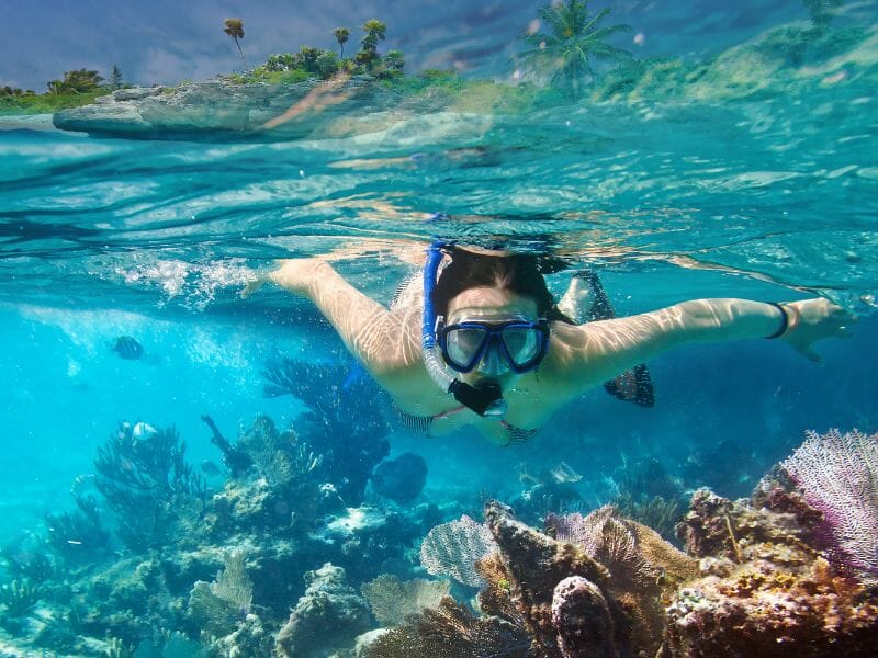 Snorkeling by coral reef