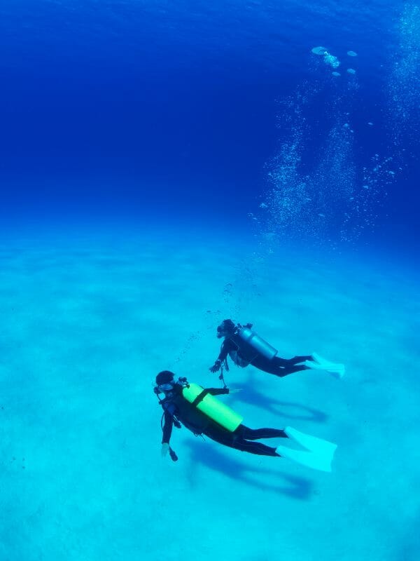 TWO DIVERS AT THE BOTTOM OF THE SEA