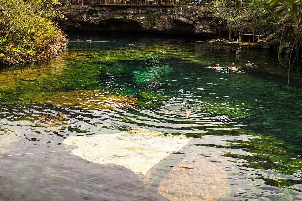 Cenote Jarding del Eden