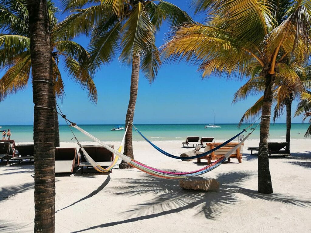 holbox beach and palms
