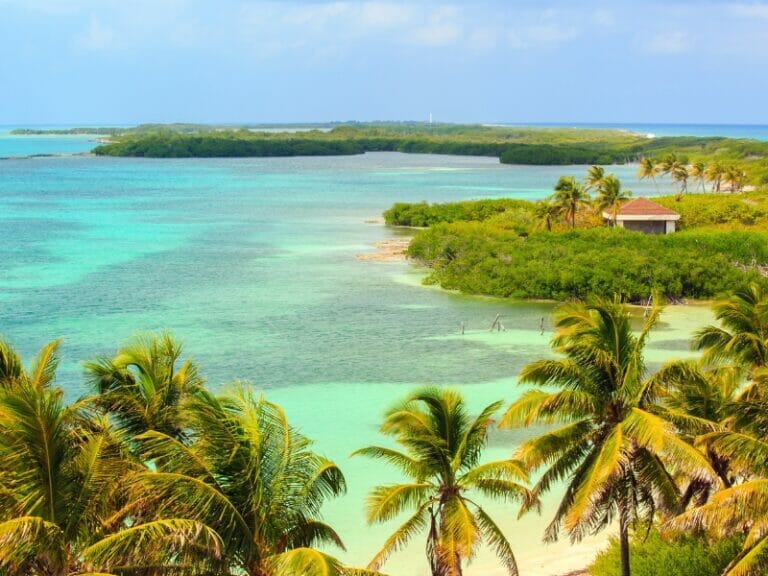 Contoy Island beach views