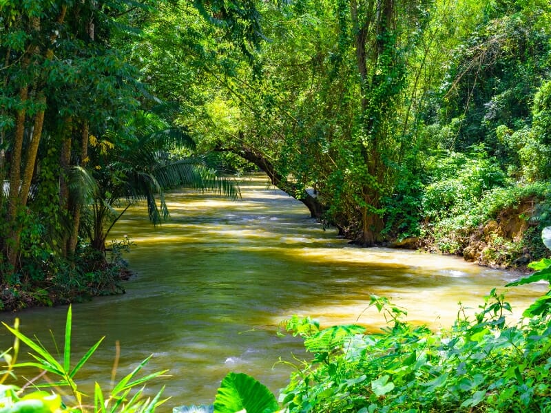 Private Martha Brae River Jamaica