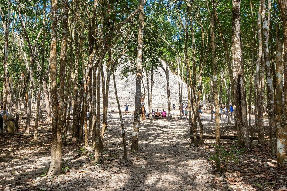 Mayan pyramid ruins surrounded by forest and tourists.