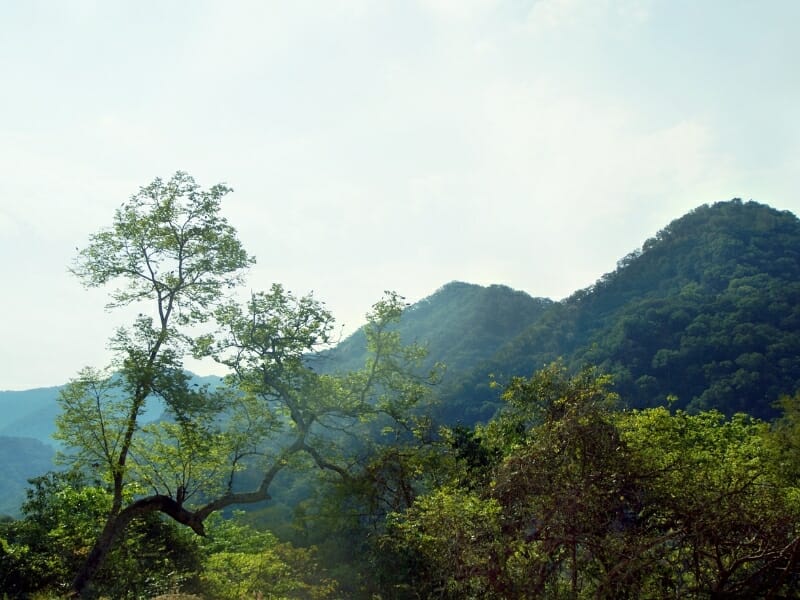 Sierra Madre mountains of Puerto Vallarta