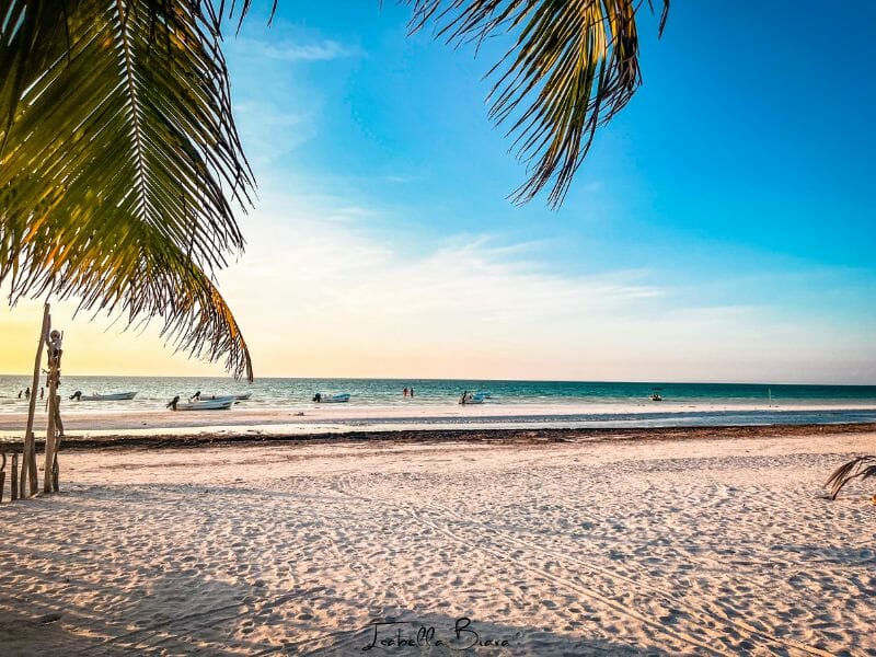 beach in holbox