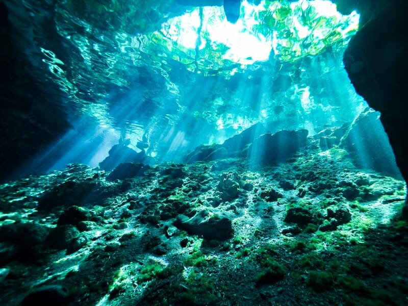 Cenote tour in Playa del Carmen
