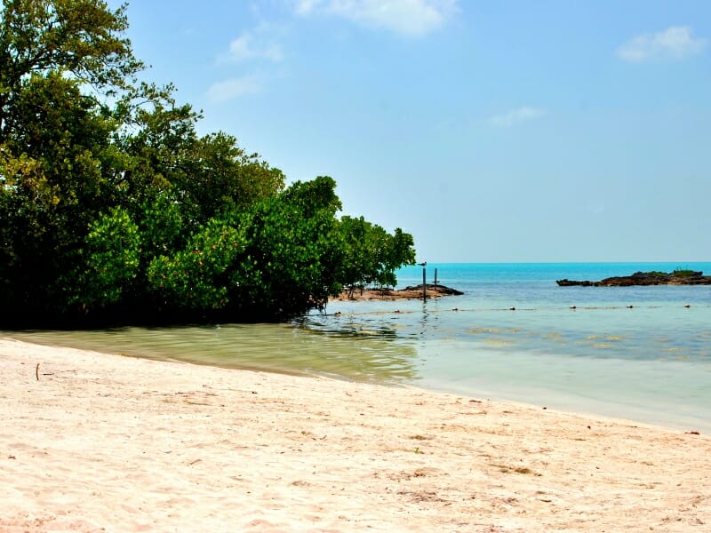 Contoy Island Mexico