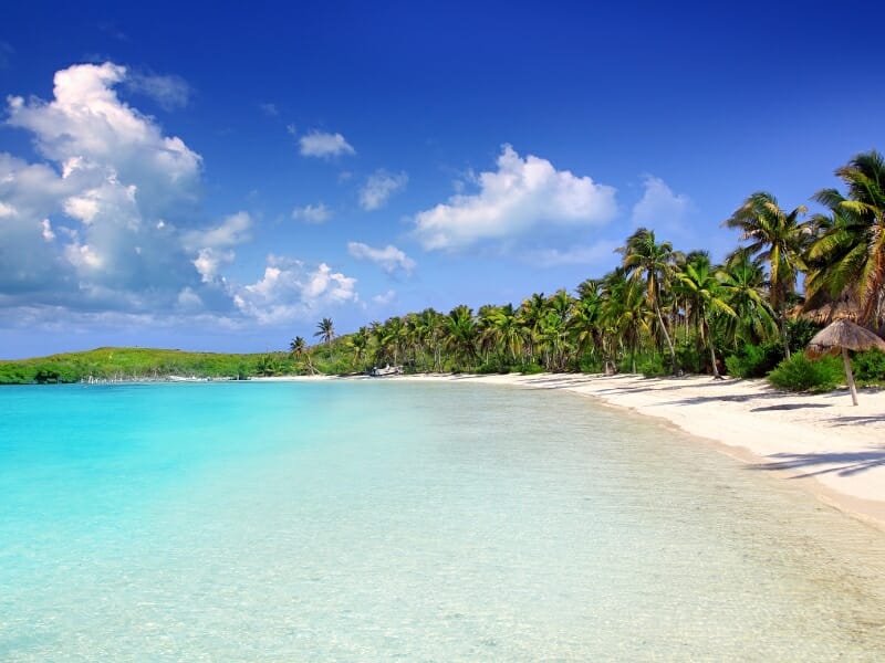 Contoy Island palm trees and beach