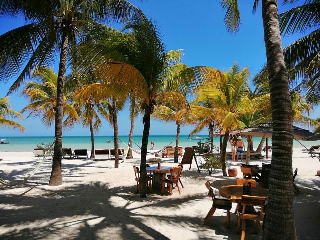 Holbox beach palms