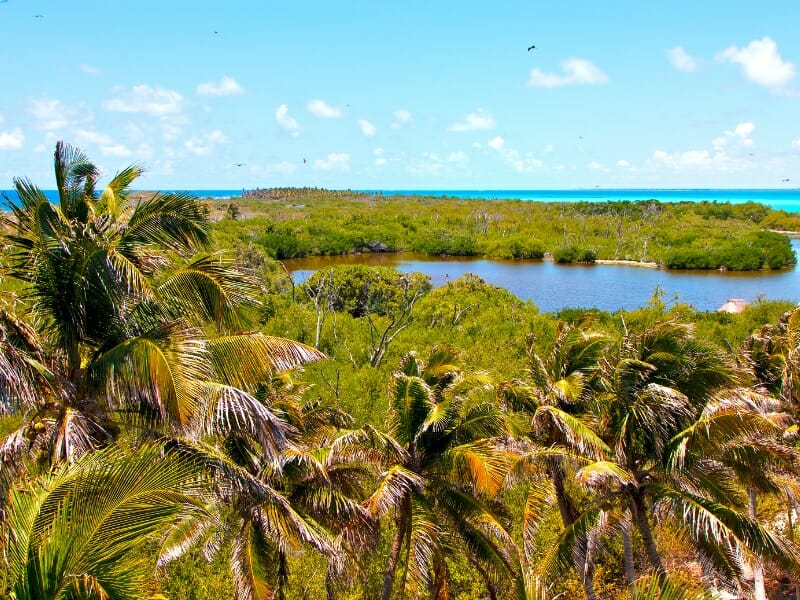 Isla Contoy Yucatan, Mexico