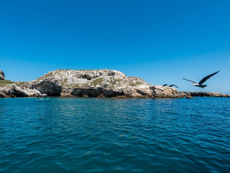 Marietas Islands
