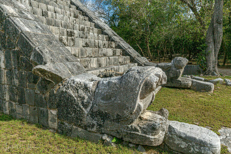 Iguana in Chichen Itza
