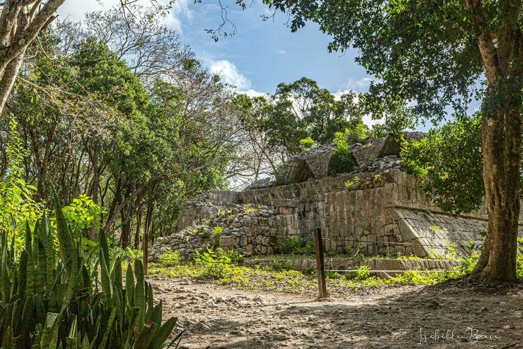 Chichen Itza temple surrounded by small trees.