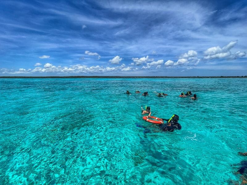 cozumel snorkeling group blue water