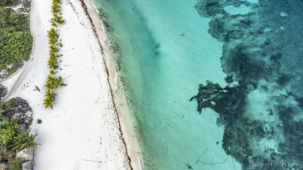 Cozumel coastline aerial view