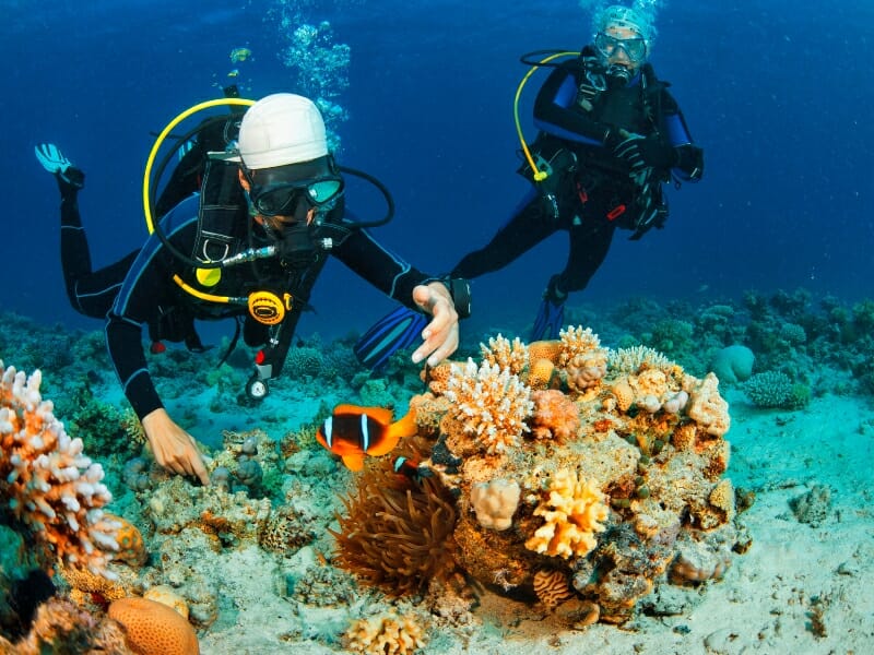 Scuba diving tour in Mexico Caribbean