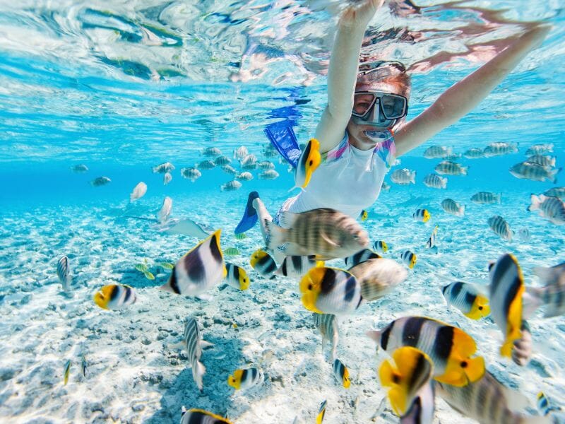 boy snorkeling