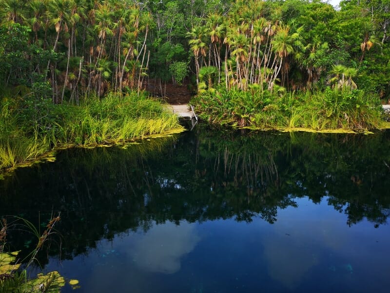 Cenote Cristal in Tulum