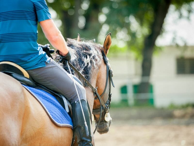 Horseback riding cancun