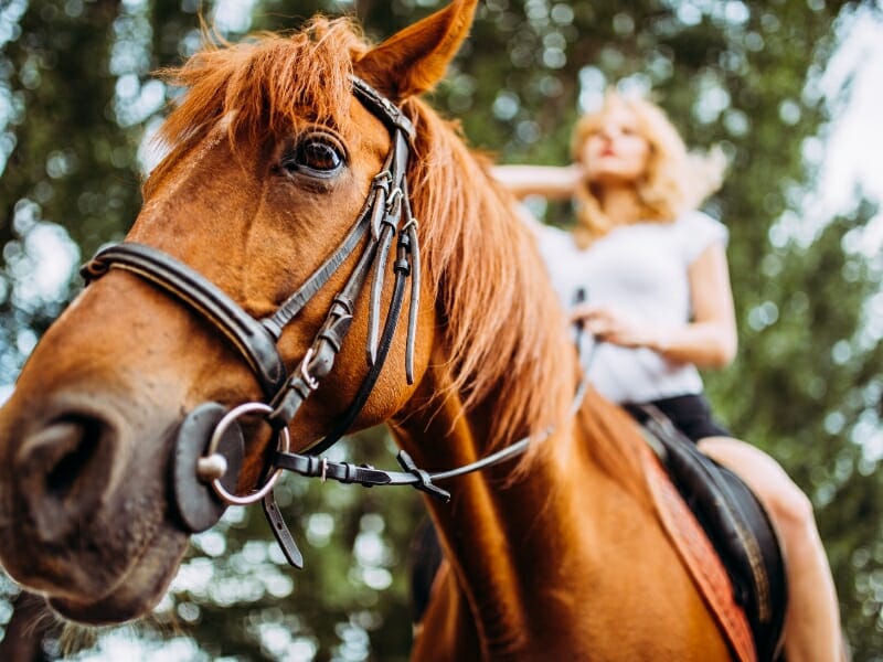 rear view of woman practicing horseback riding outdoors