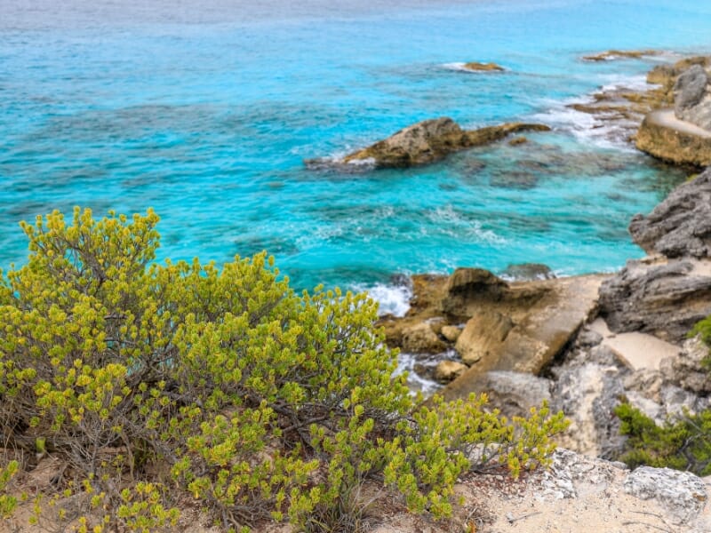 Crystal clear water of Isla Mujeres