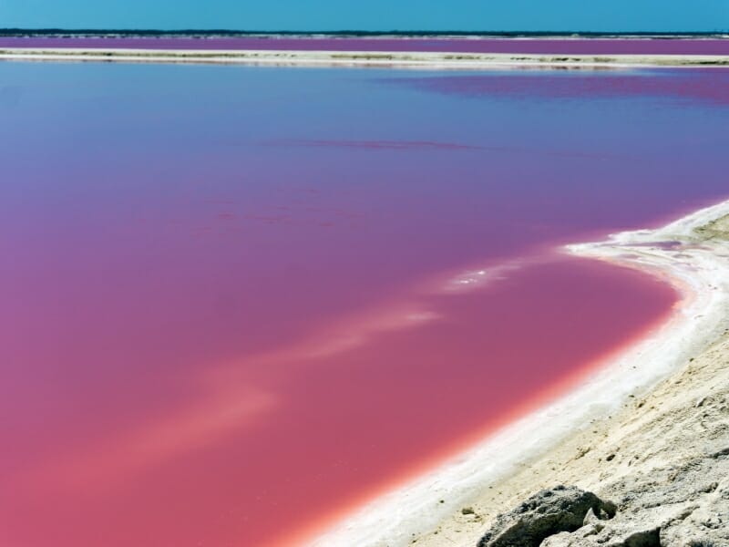 Las Coloradas, Rio Lagartos