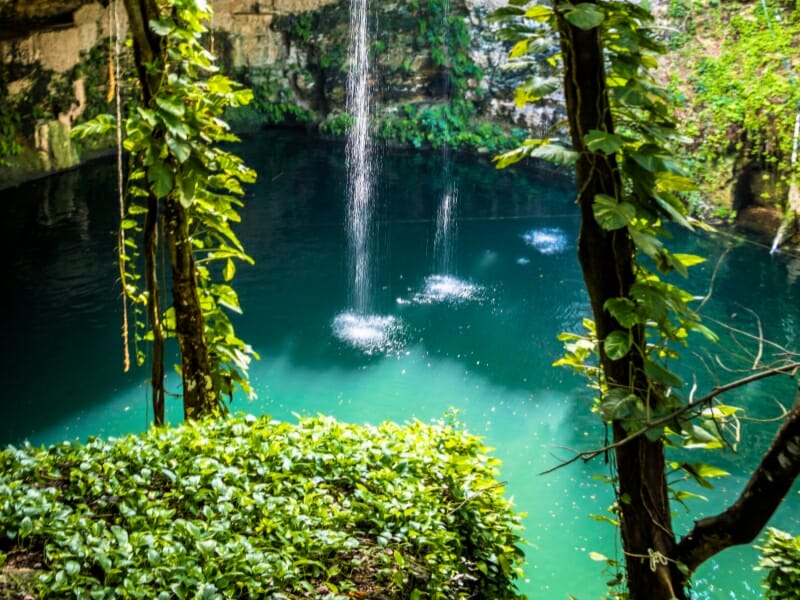 Mayan riviera cenote