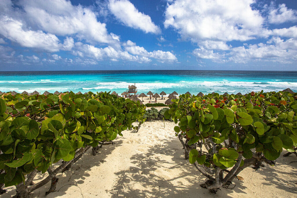 Cancun Playa delfines