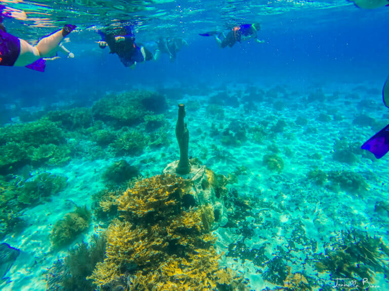 Cancun Snorkeling tours