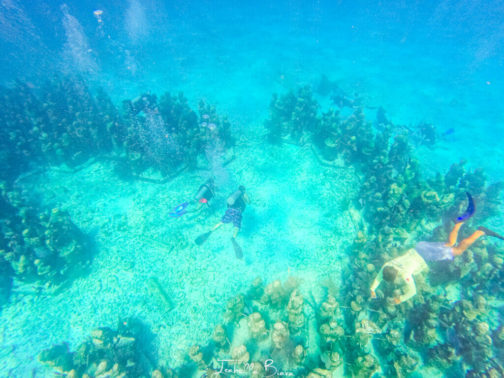 People Diving at Cancun Underwater Museum 