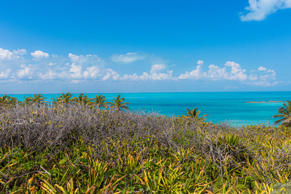 isla contoy views