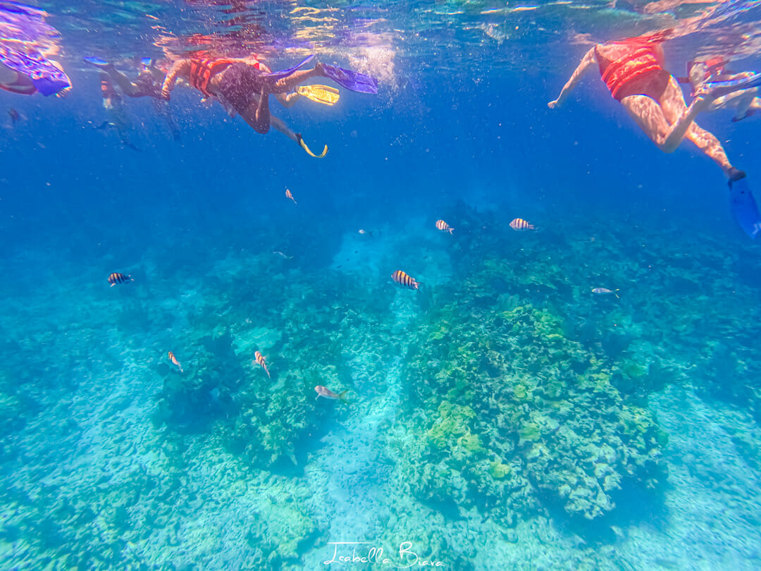 People snorkeling in Isla Mujeres.