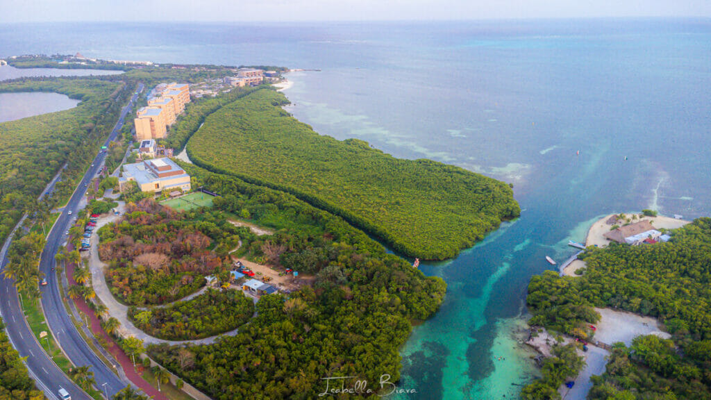 Punta Nizuc Canal