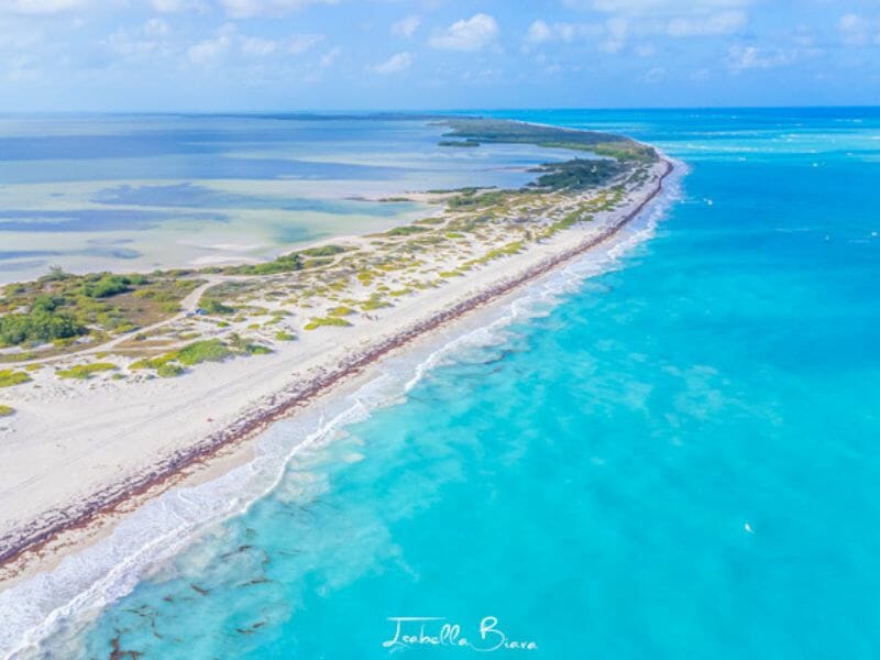 ISLA BLANCA