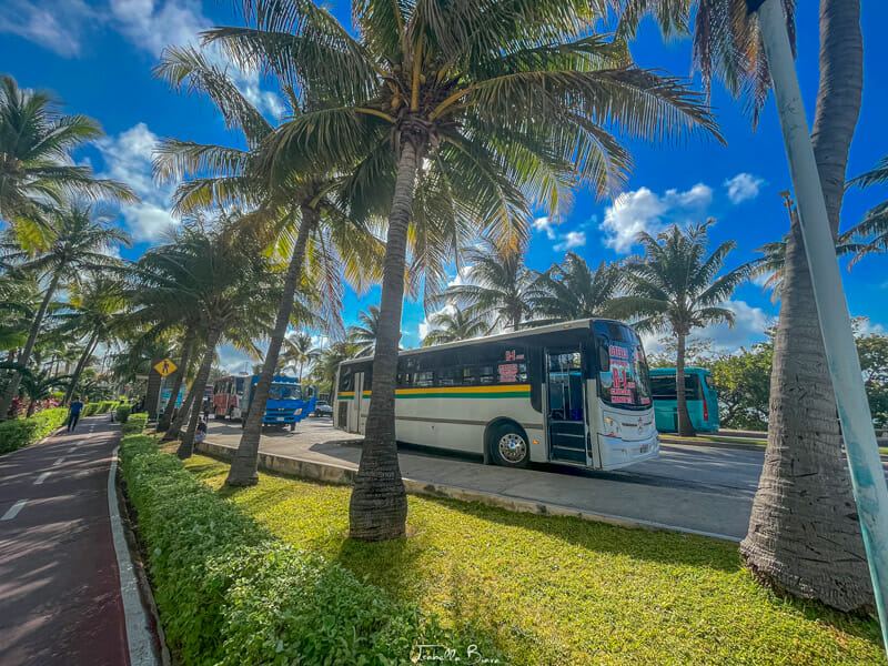 Hotel Zone bus 