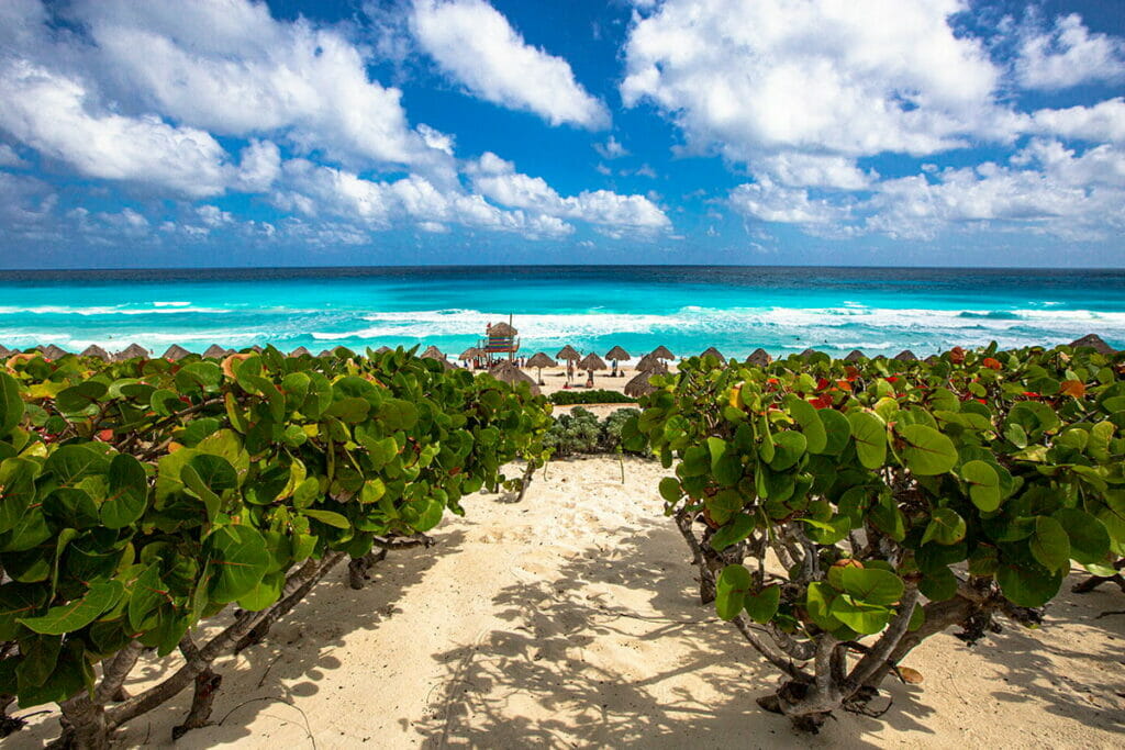 View of Playa Delfines.