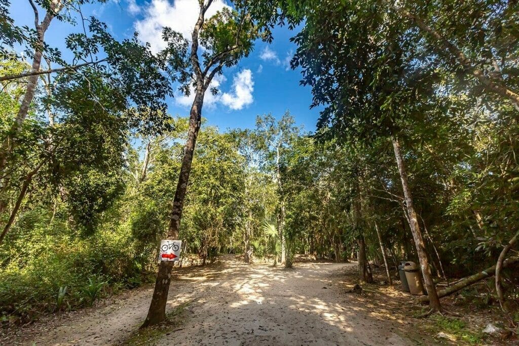 Bike route in Coba surrounded by tall trees under a blue sky.