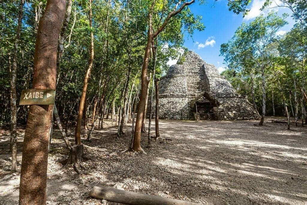 View of Coba Temple Xaibe surrounded by trees.